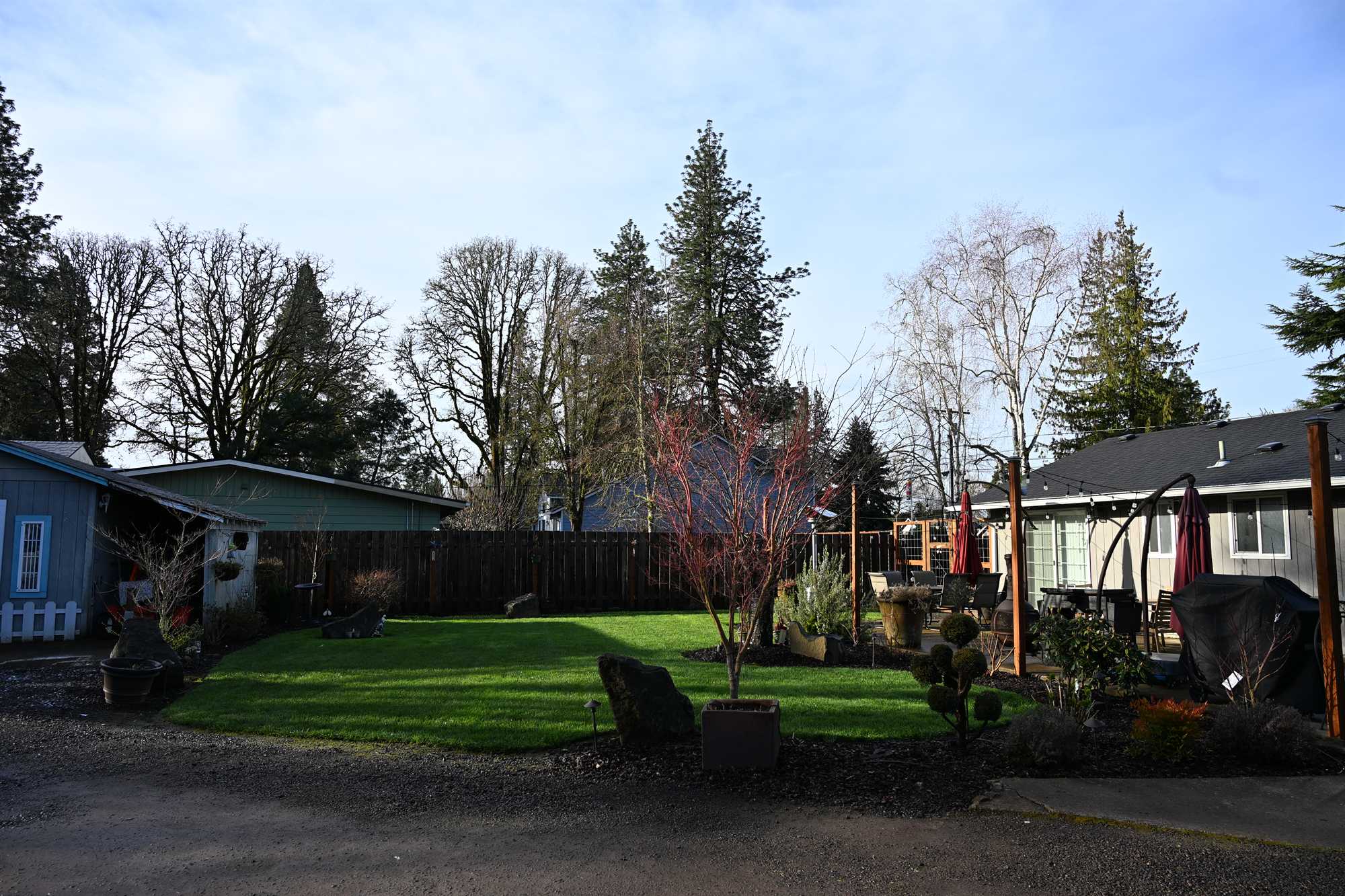 Wide view of a maintained backyard lawn with defined bed-to-turf transitions