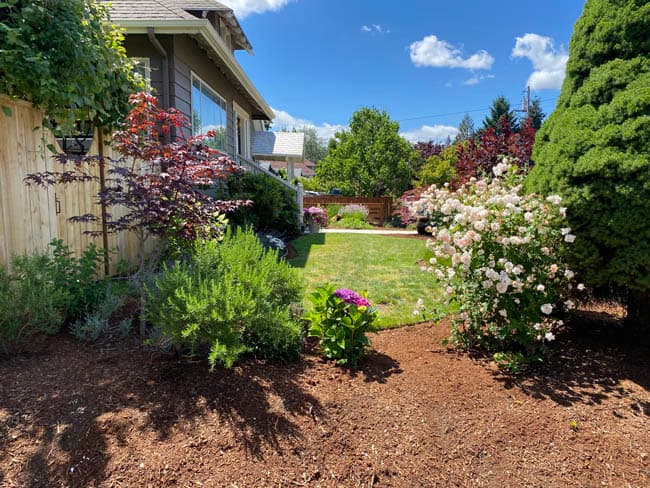 Professional Landscape Remodeling in Beaverton, OR Professional Landscape Remodeling in Beaverton, OR