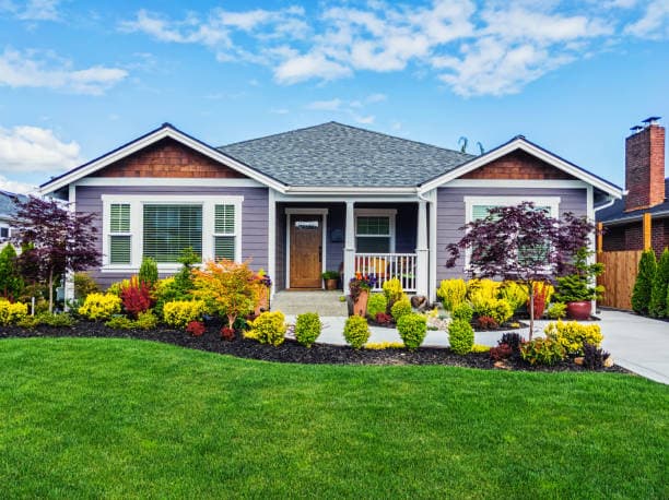 Beautifully maintained residential garden by professional landscapers Beautifully maintained residential garden by professional landscapers