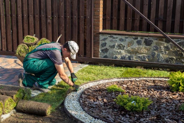 Worker laying new grass and enhancing a residential landscape Worker laying new grass and enhancing a residential landscape