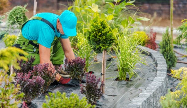 Landscaping specialist creating a well-organized and vibrant garden Landscaping specialist creating a well-organized and vibrant garden