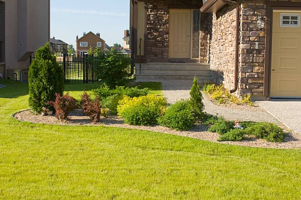 Beautifully landscaped front yard with decorative plants and greenery Beautifully landscaped front yard with decorative plants and greenery