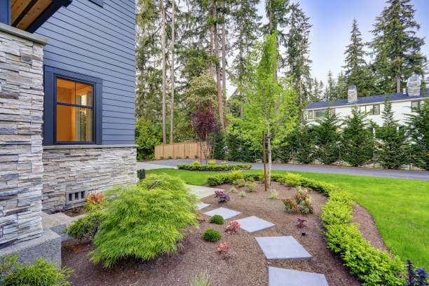 Modern front yard landscaping with stepping stones and lush greenery Modern front yard landscaping with stepping stones and lush greenery