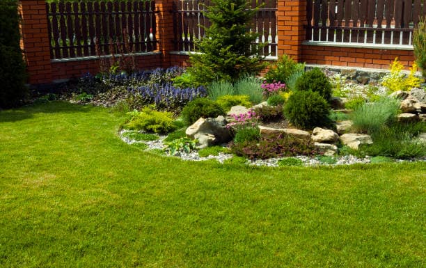 Elegant custom backyard design blending rocks, shrubs, and a pristine green lawn Elegant custom backyard design blending rocks, shrubs, and a pristine green lawn