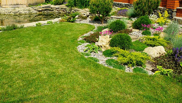 Beautifully designed outdoor space featuring greenery and stone elements Beautifully designed outdoor space featuring greenery and stone elements