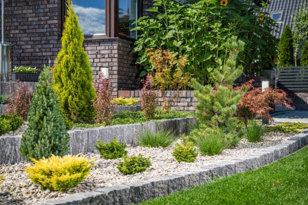Modern front yard landscaping featuring decorative plants and stone borders Modern front yard landscaping featuring decorative plants and stone borders