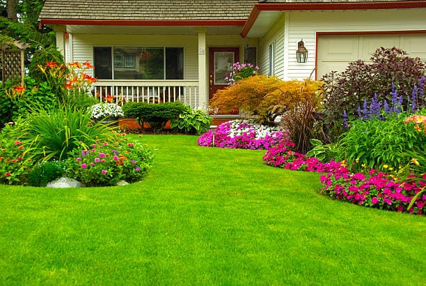 Beautifully designed custom landscape with bright flowers and lush vegetation Beautifully designed custom landscape with bright flowers and lush vegetation