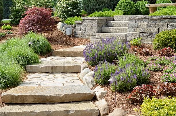 Hardscape design with natural stone steps, retaining walls, and lush greenery Hardscape design with natural stone steps, retaining walls, and lush greenery
