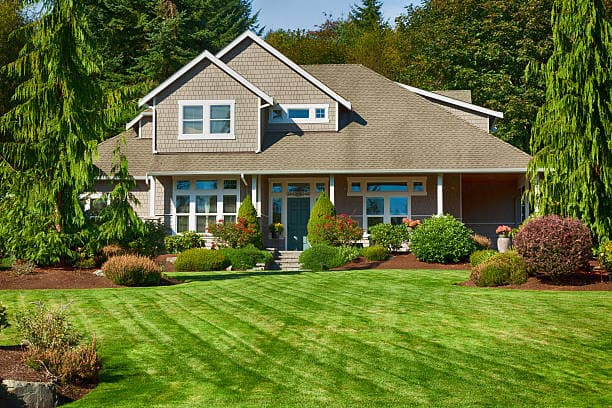 Beautifully landscaped front yard with a lush green lawn and trimmed shrubs Beautifully landscaped front yard with a lush green lawn and trimmed shrubs