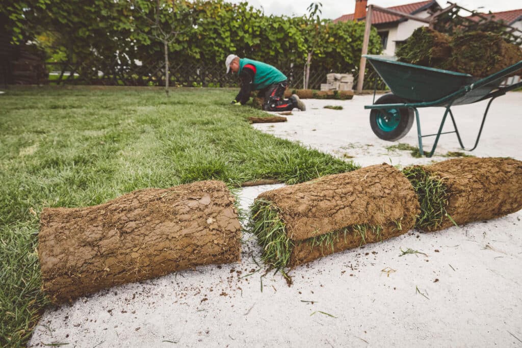 Professional laying sod for residential landscape installation Professional laying sod for residential landscape installation