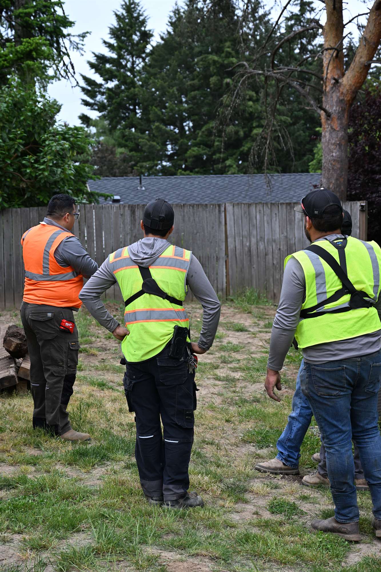 OCL crew member pruning an ornamental tree during a full-service maintenance visit