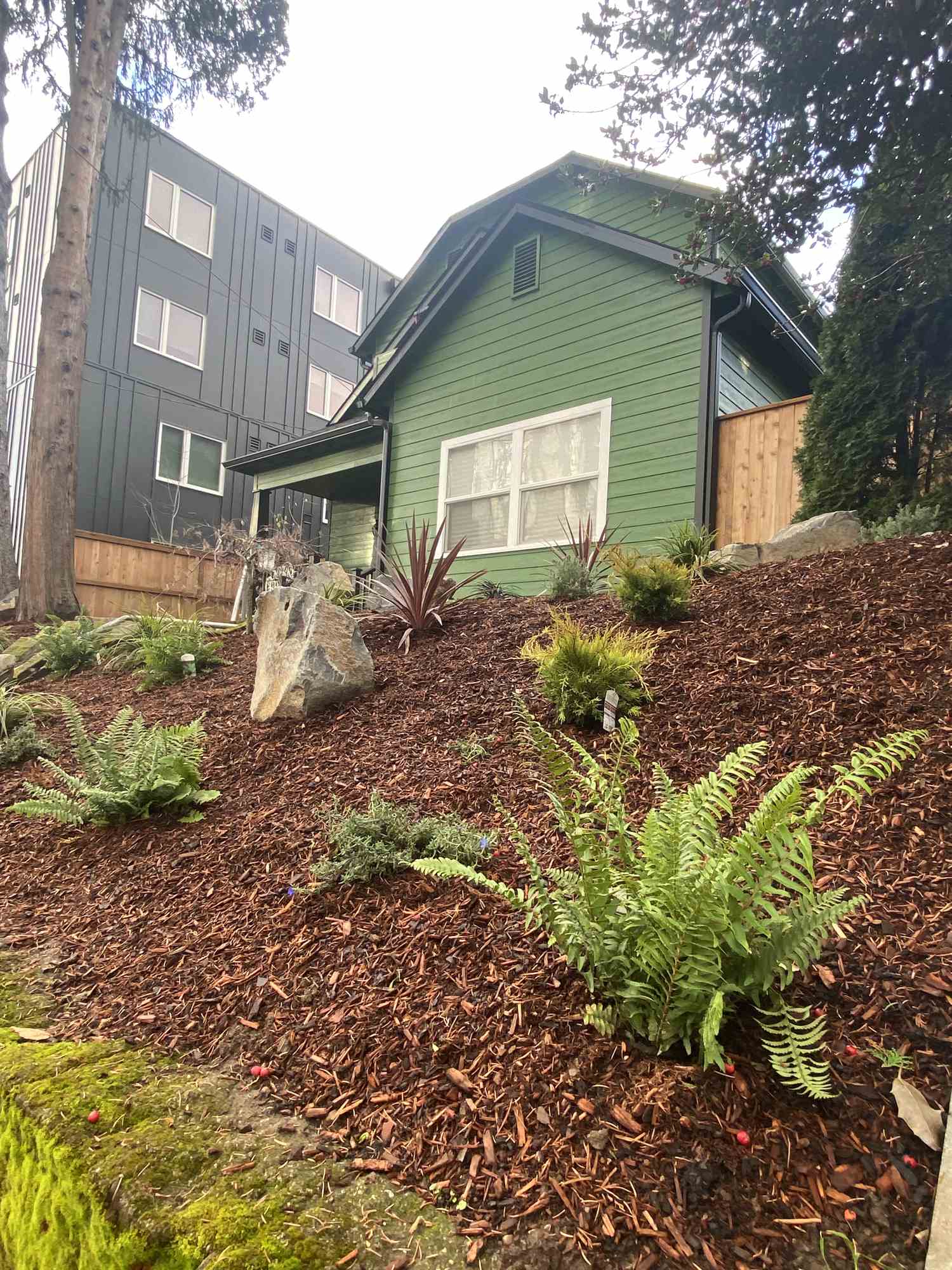 Foundation planting bed with bark mulch applied at the correct depth and clean defined edges
