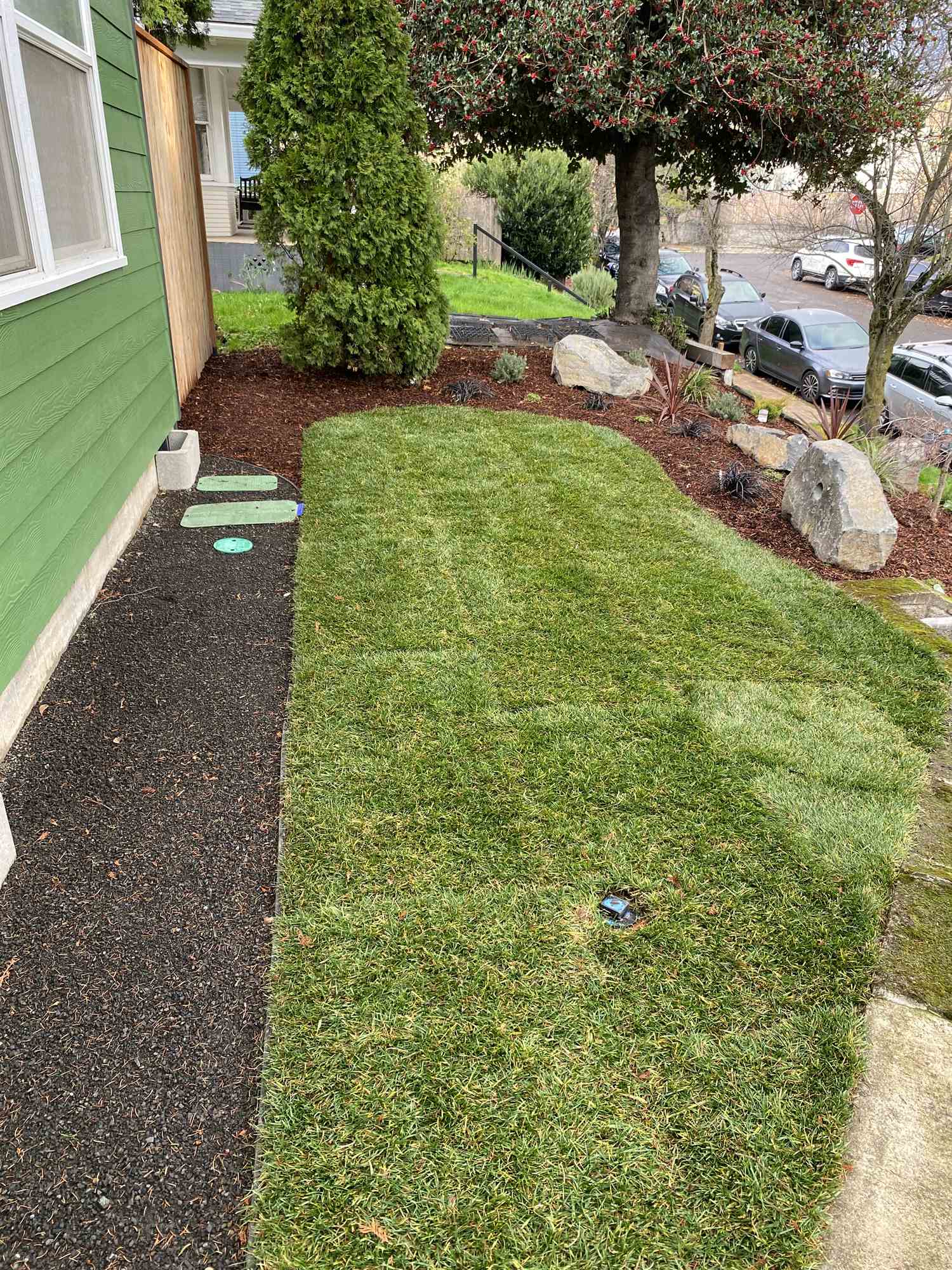 Thick, evenly cut lawn maintained at the correct height for Pacific Northwest turf