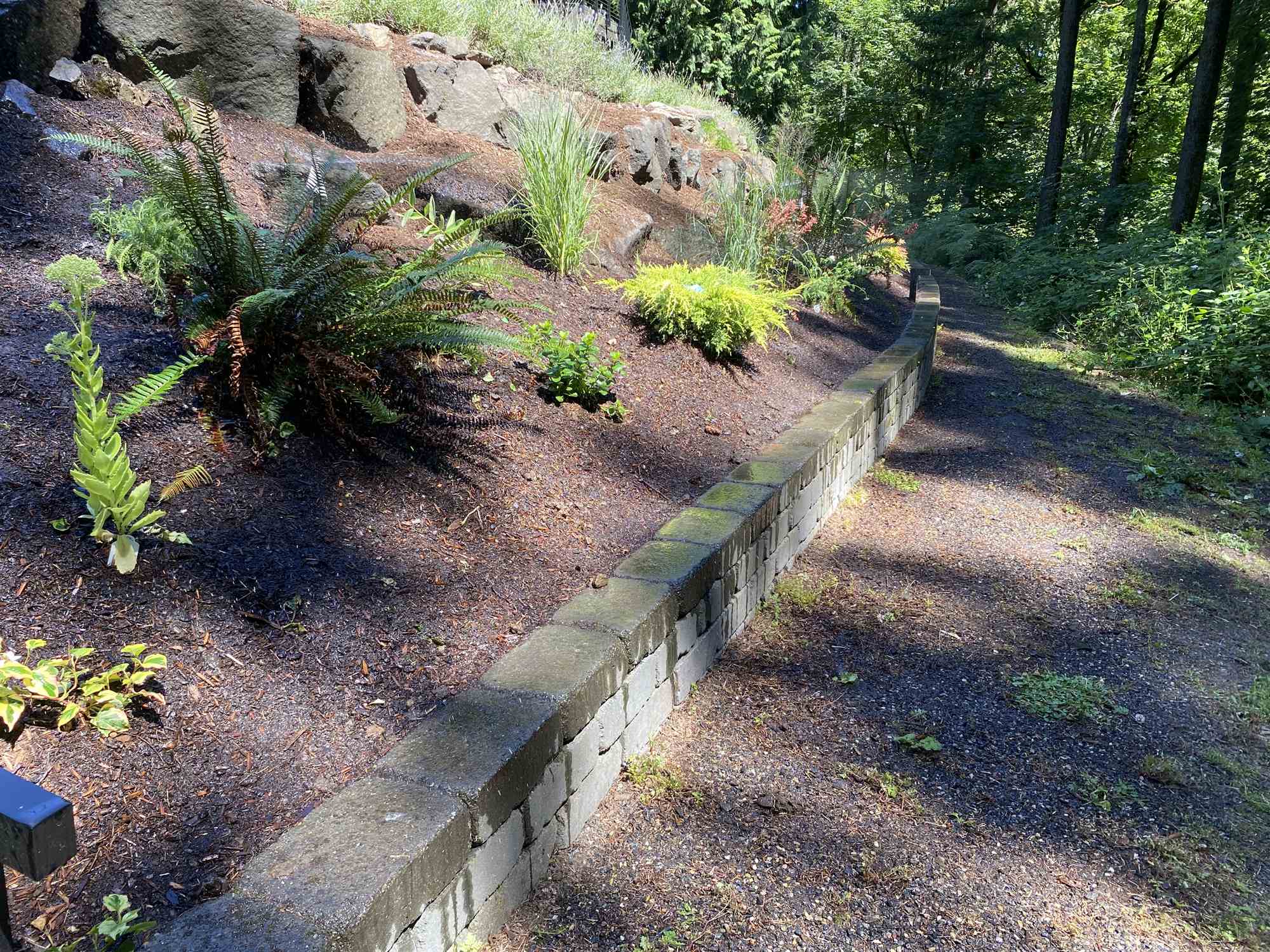 Stabilized hillside bed with terraced plantings holding the regraded slope