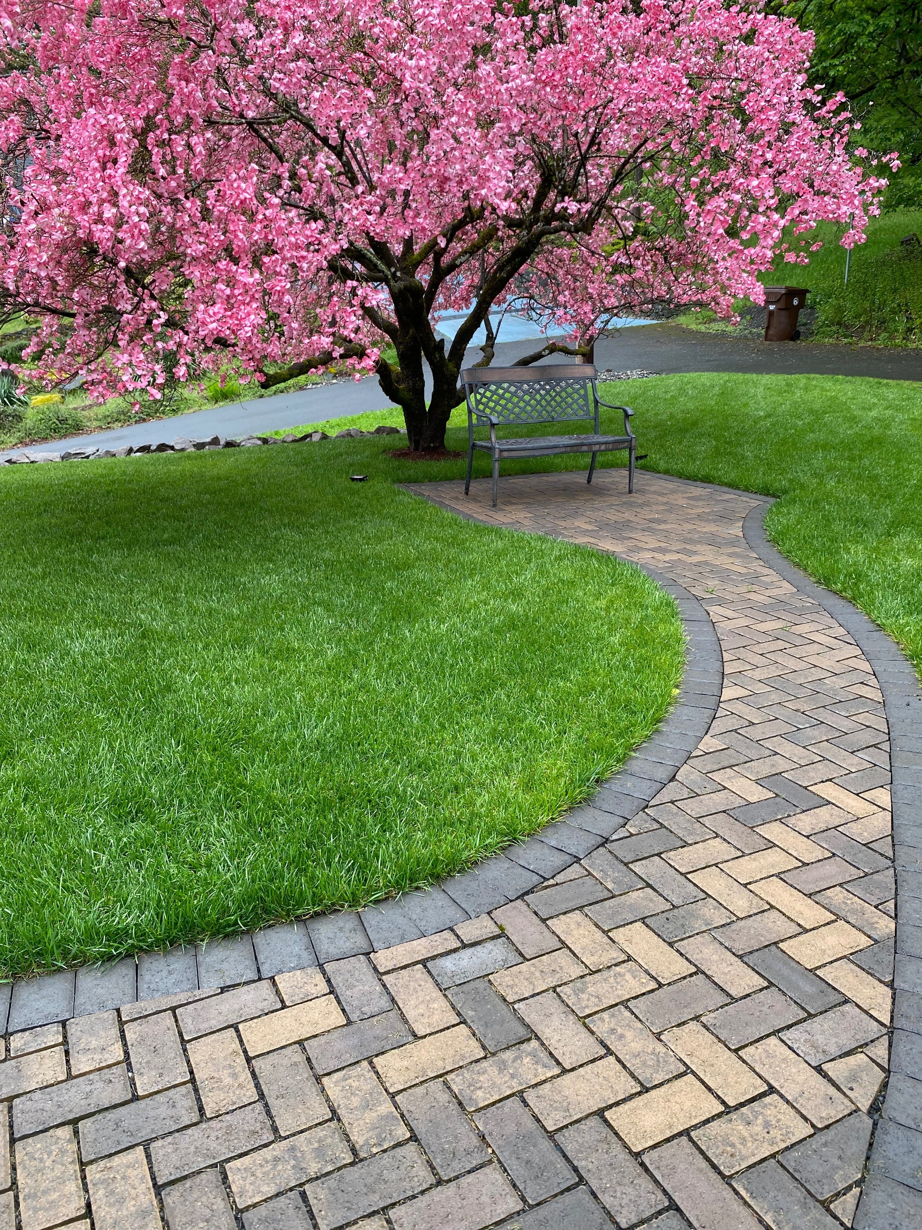 Sustainable Garden Design