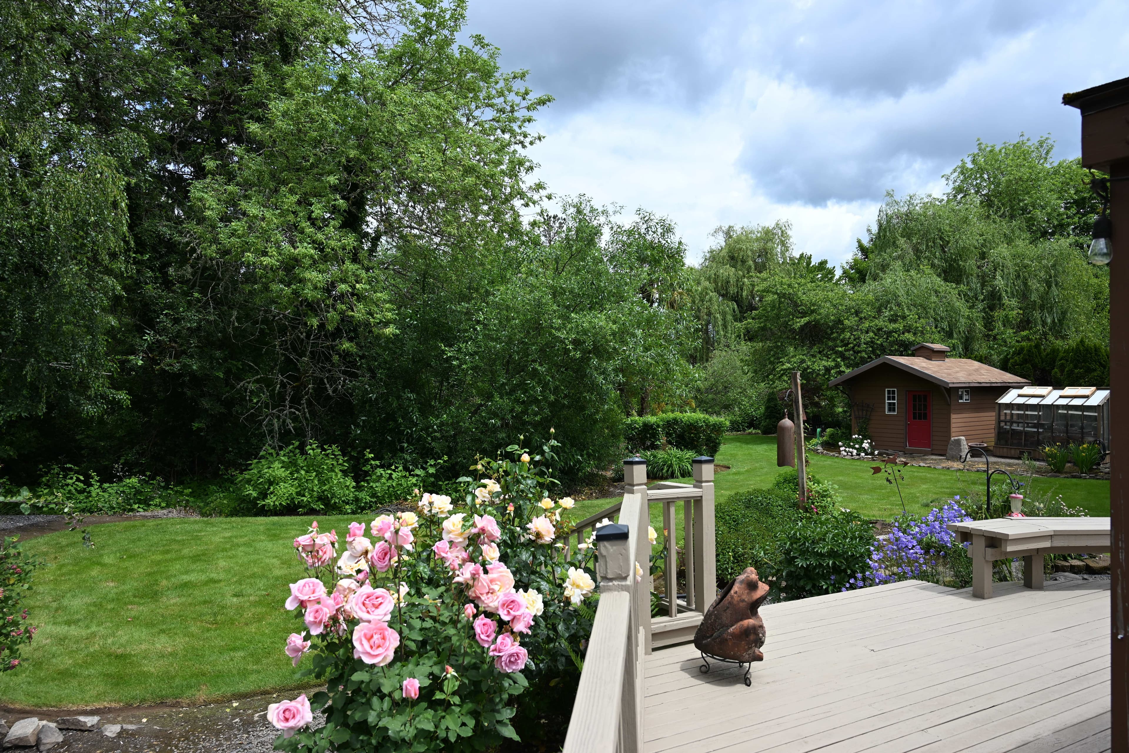 Freshly mowed, neatly trimmed backyard lawn with a rose bush, garden shed, and mature trees during a routine maintenance visit