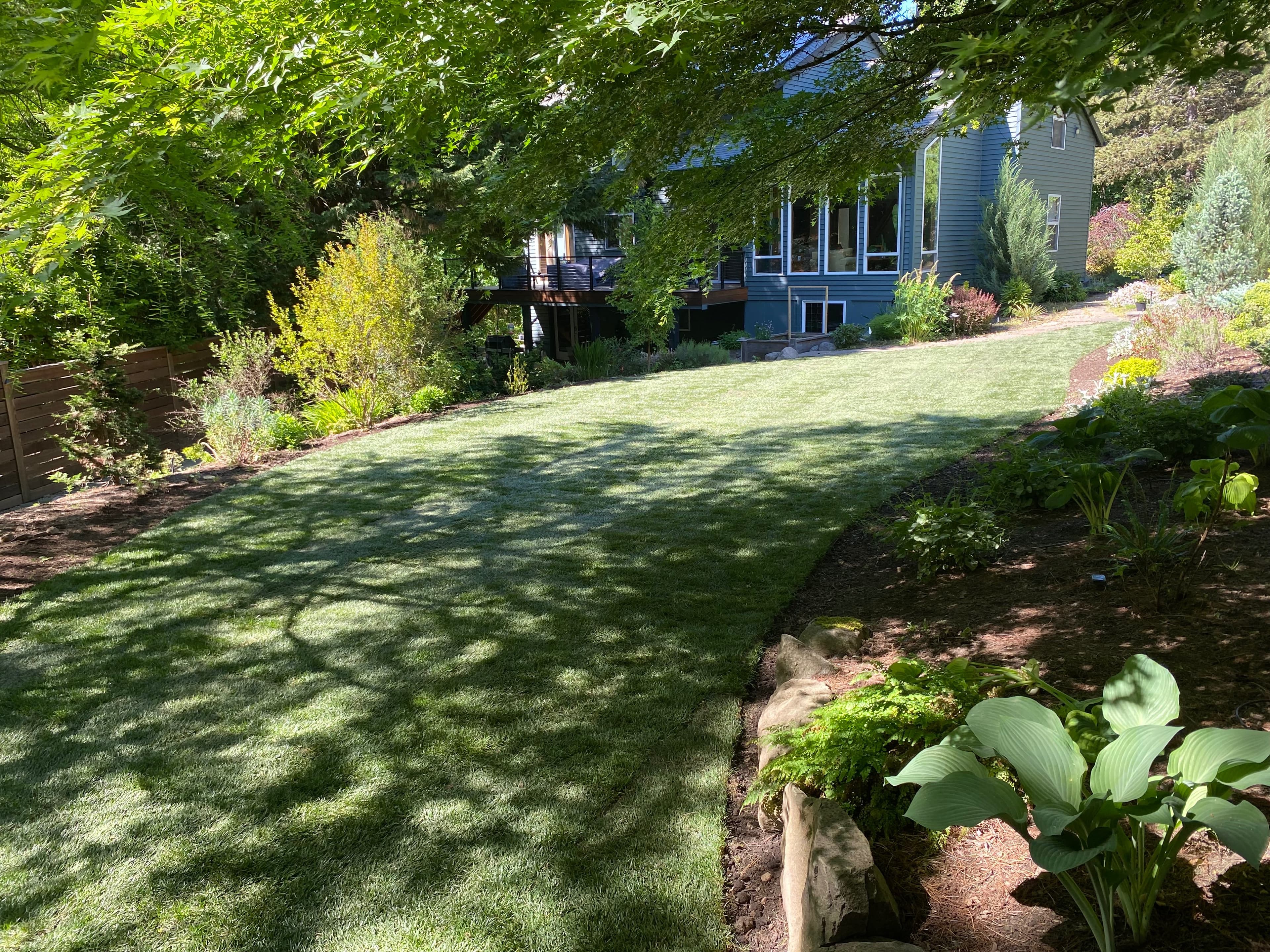 Lush freshly established green sod lawn sloping up toward a blue home with a raised deck, framed by mulched planting beds