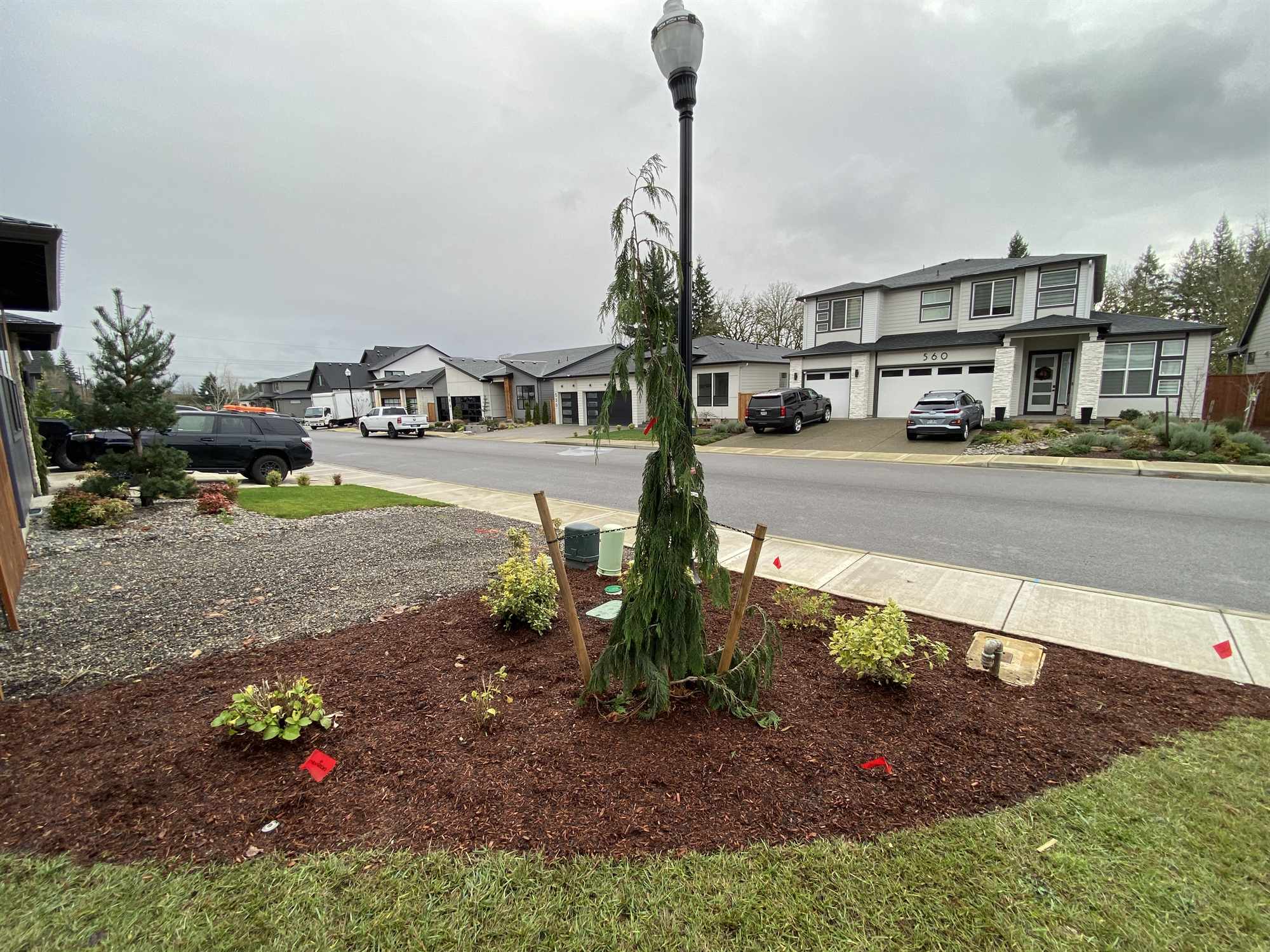 Freshly planted streetside bed with new shrubs and clean bark along a commercial frontage