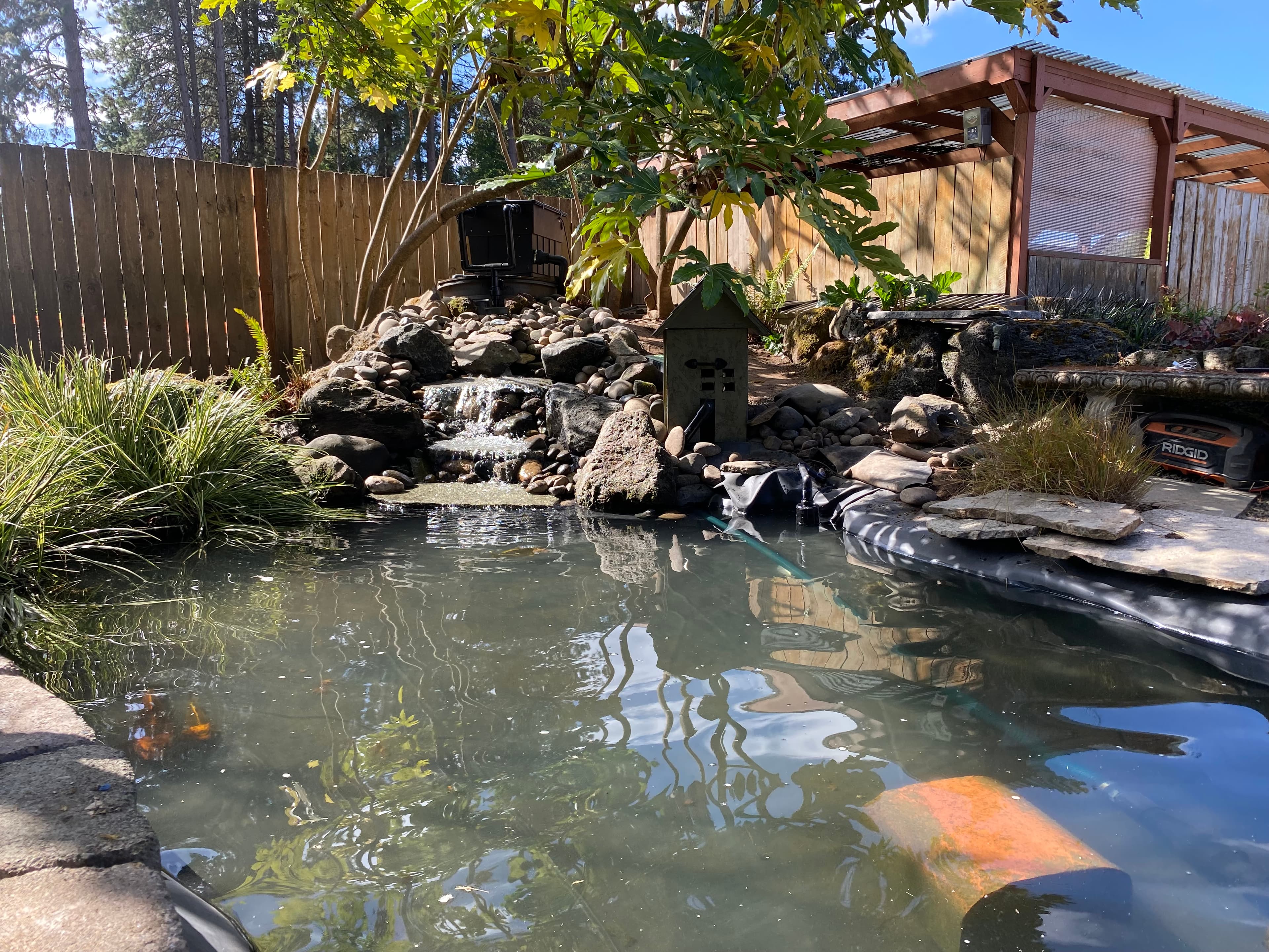 Backyard koi pond with a rock waterfall cascading into reflective water and orange koi fish swimming below the surface