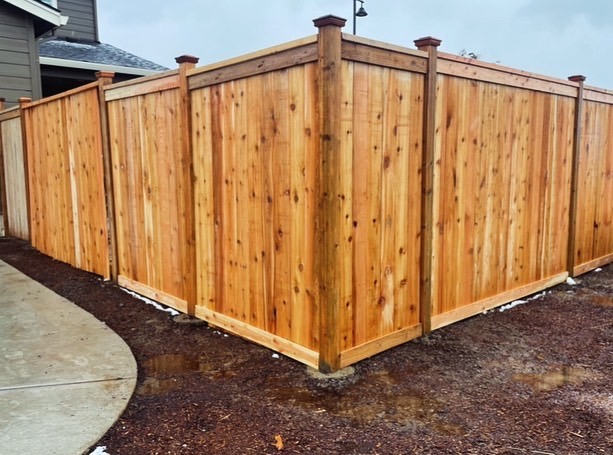 New cedar privacy fence running along a backyard property line