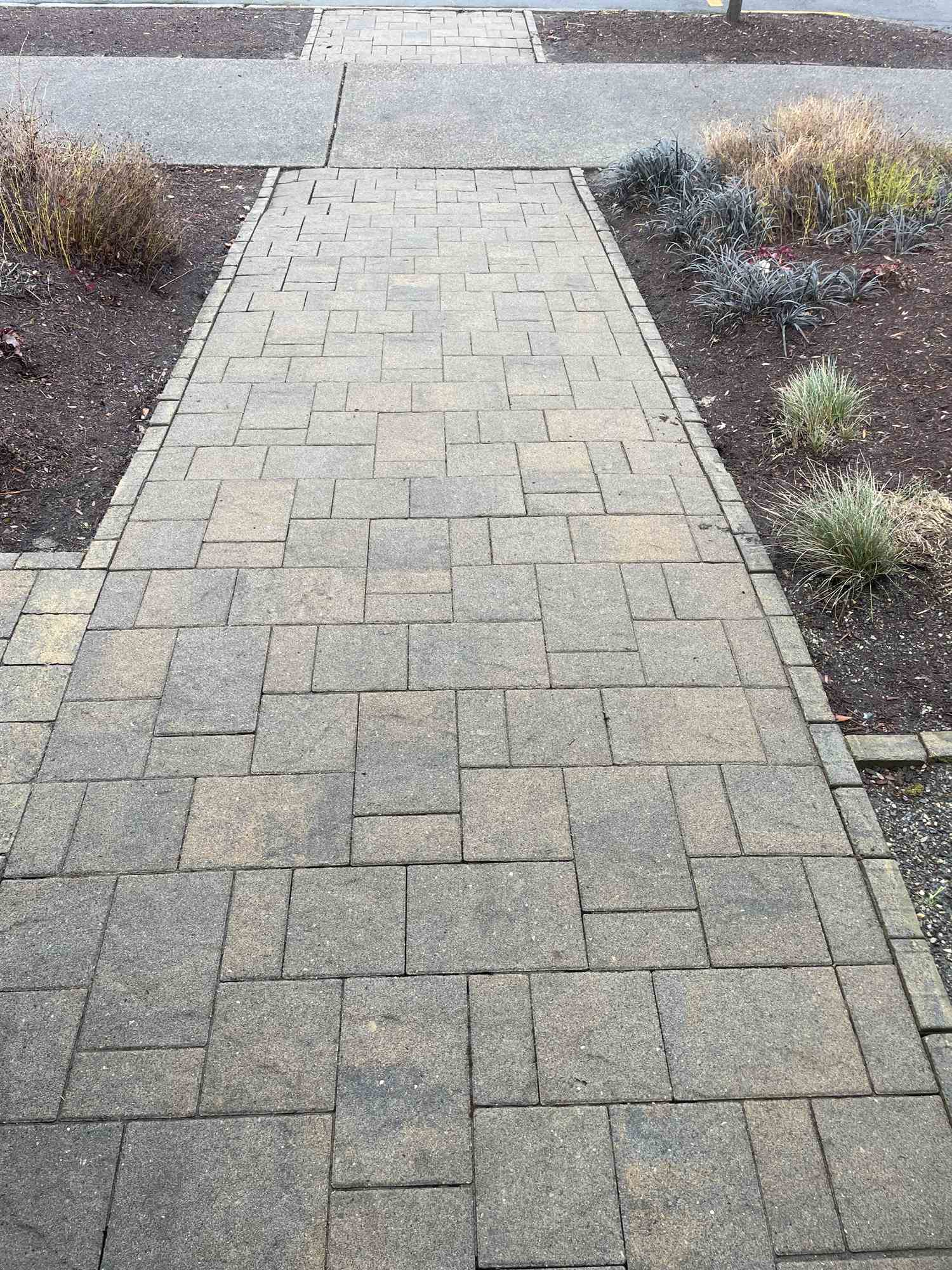 Paver Walkway Clean & Restore · Portland Metro, after