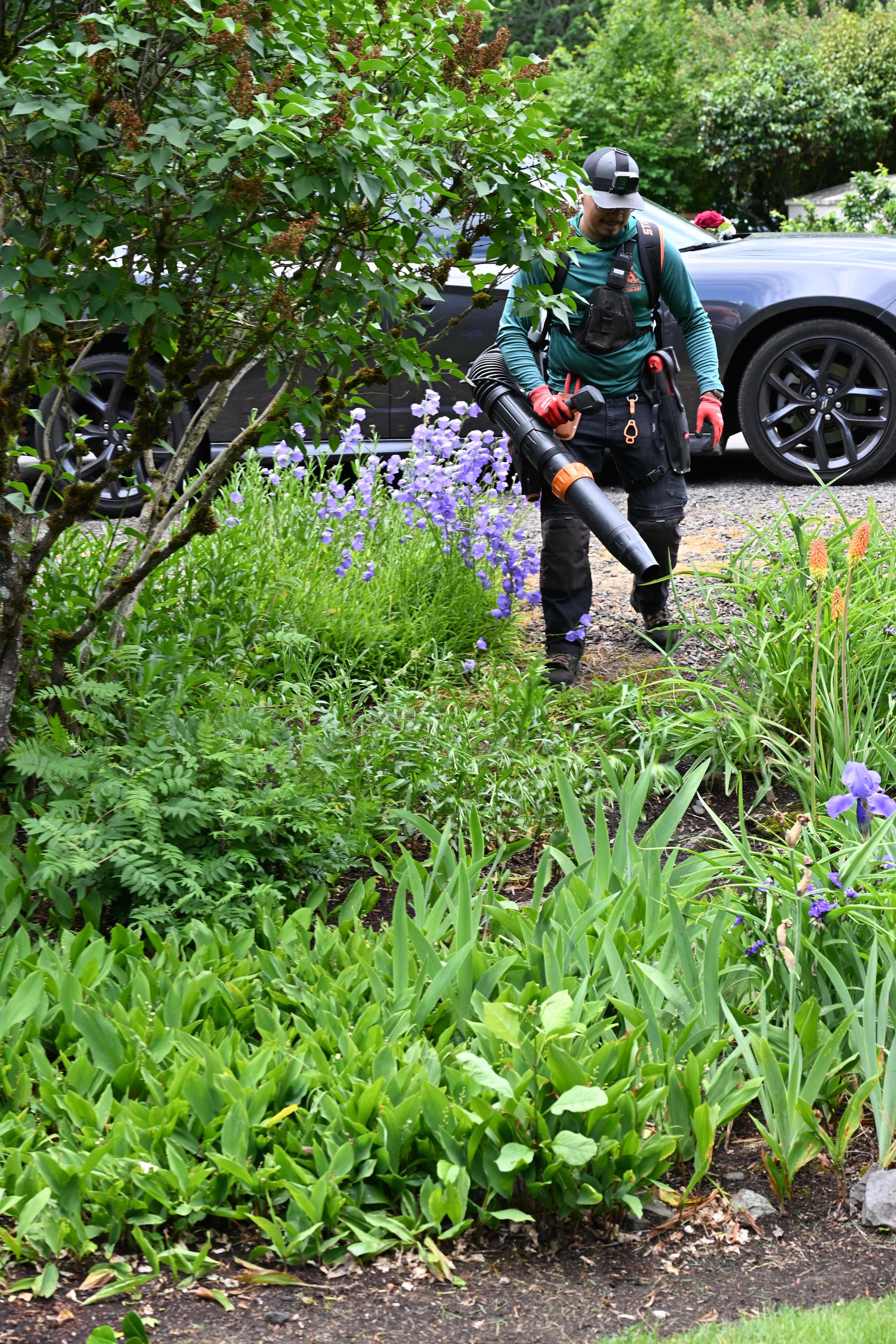 OCL Landscaping crew member performing ongoing garden maintenance